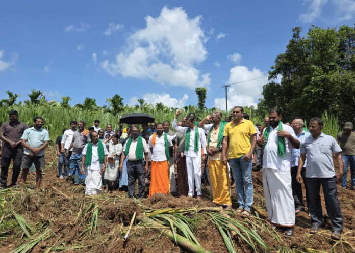 Tenkamijaru Farmers Protest as Power Line Work Destroys Crops IBC